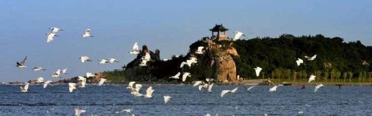  热那亚灯塔之城德比激战，海风拂面见证激情对决